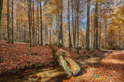 Gemeinde Bayerisch_Eisenstein Landkreis Regen Hans-Watzlik-Hain Kanal (Dirschl Johann) Deutschland REG